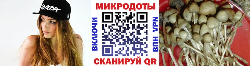 купить   Красково  Галлюциногенные грибы Cubensis 